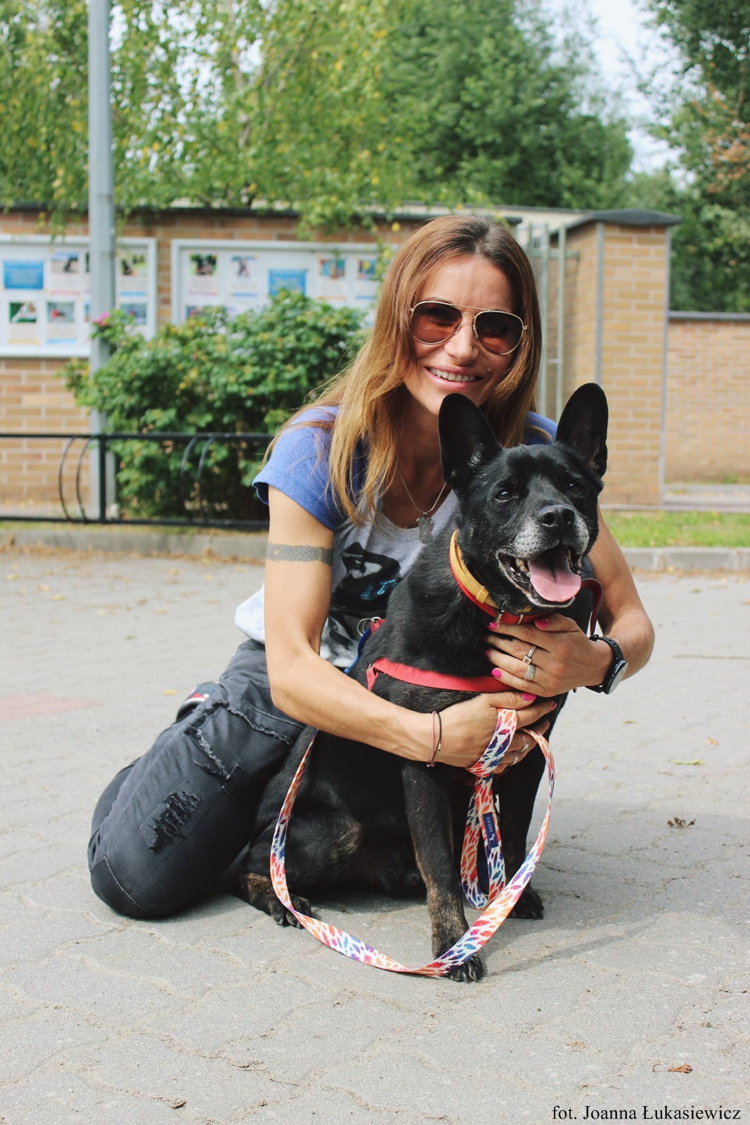 BlogStar: Karolina Pilarczyk zachęca do psich adopcji - BlogStar.pl