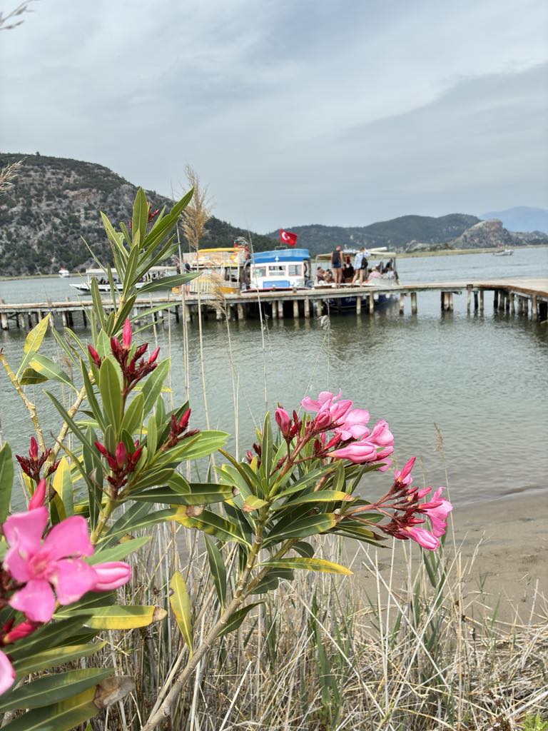 Dalyan - turecka Amazonia