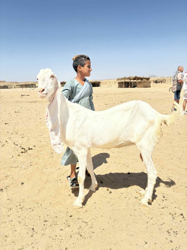 Jeep safari, Marsa Alam, Egipt