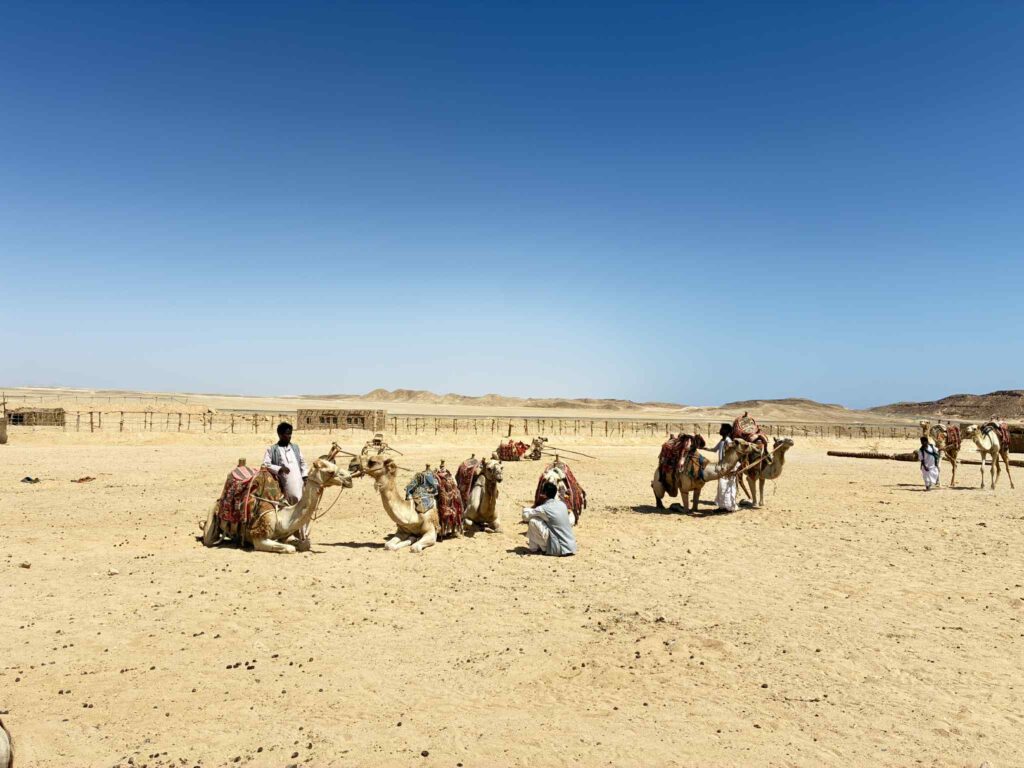 Wioska Beduińska, Egipt