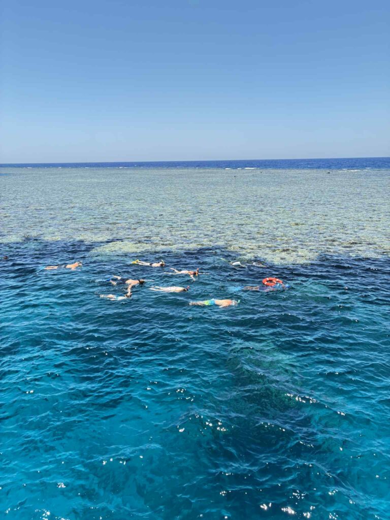 snurkowanie w Marsa Alam