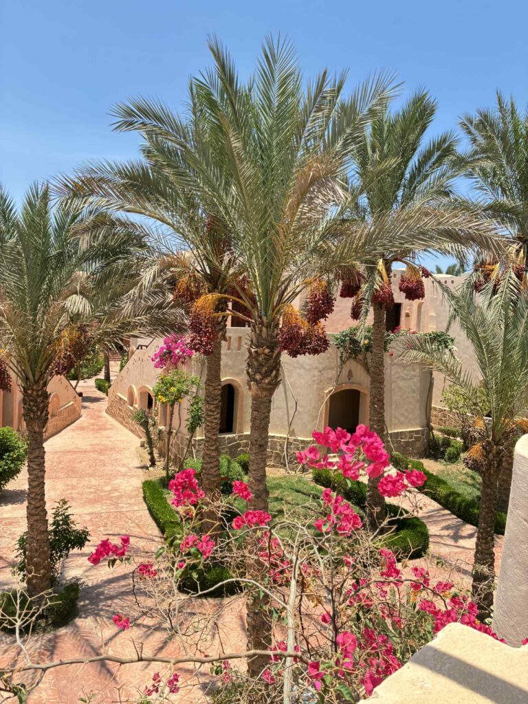 Hotel Dream Lagoon & Aquapark Resort, Marsa Alam, Egipt