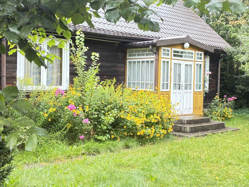 Edyta: Białowieża – atrakcje, zwiedzanie, ceny biletów i kuchnia regionalna - BlogStar.pl