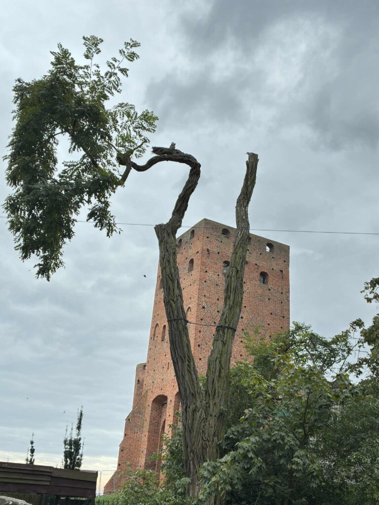 Zamek Książąt Mazowieckich w Czersku
