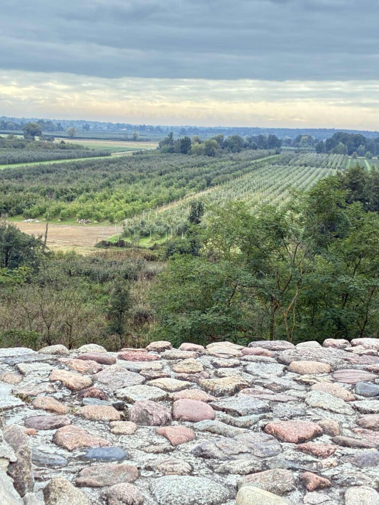Widok - Zamek Książąt Mazowieckich w Czersku
