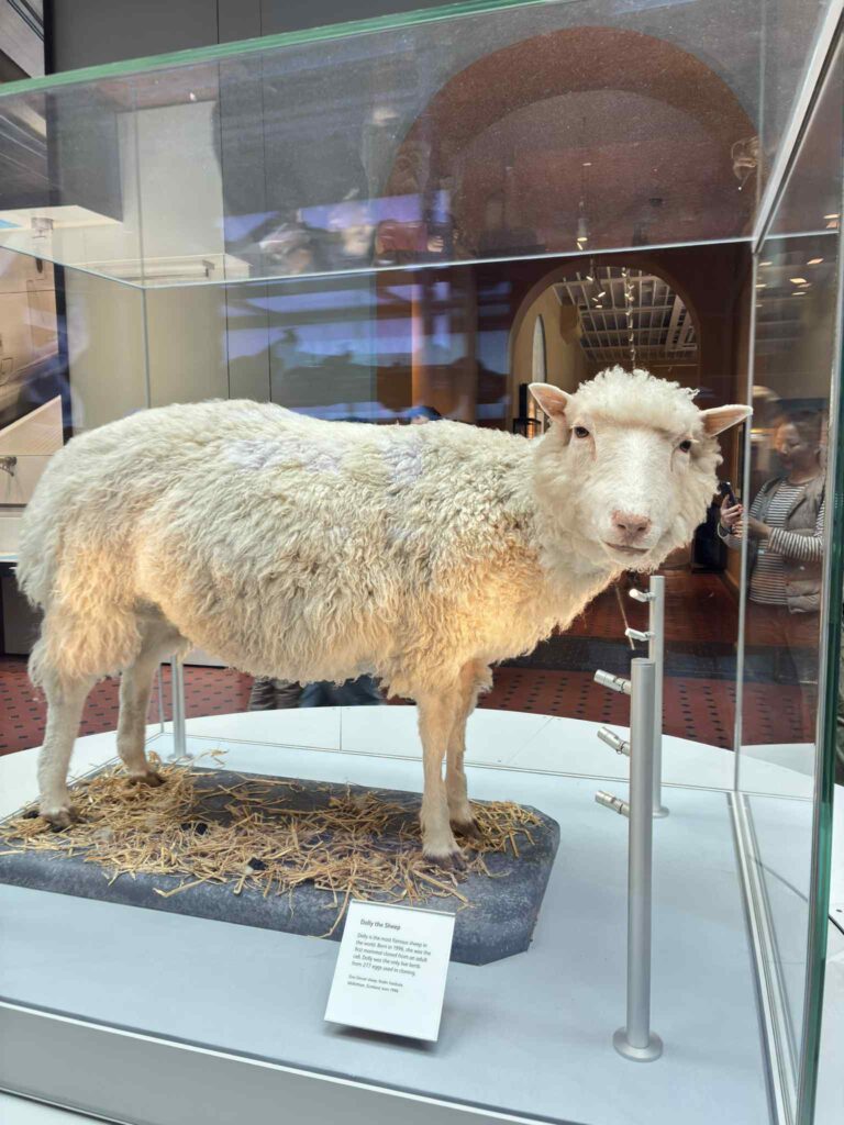 Edyta: Weekend w Edynburgu jesienią – miasto mgły, duchów i magii - BlogStar.pl