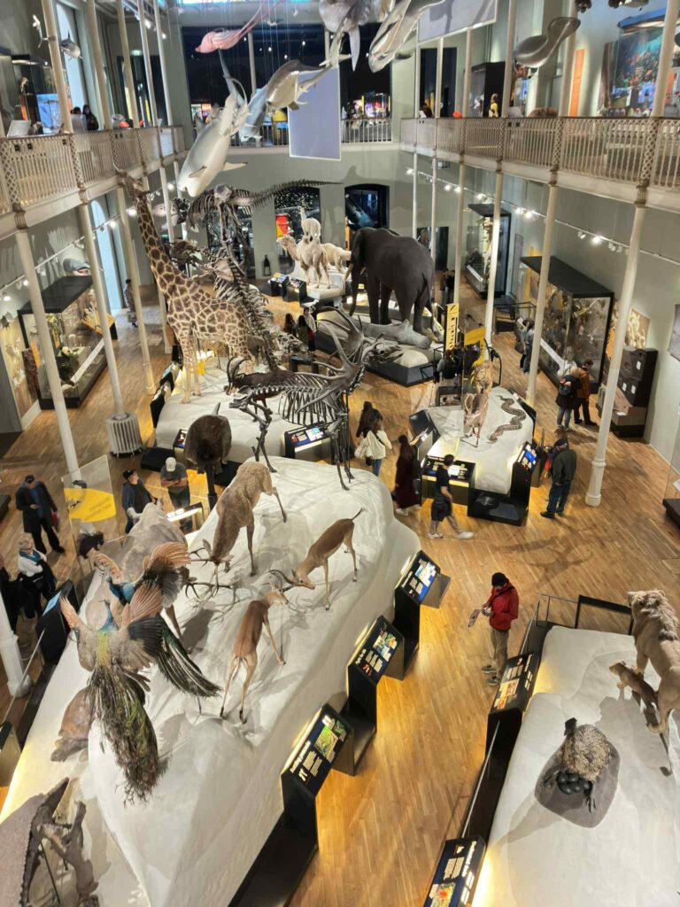 Edyta: Weekend w Edynburgu jesienią – miasto mgły, duchów i magii - BlogStar.pl